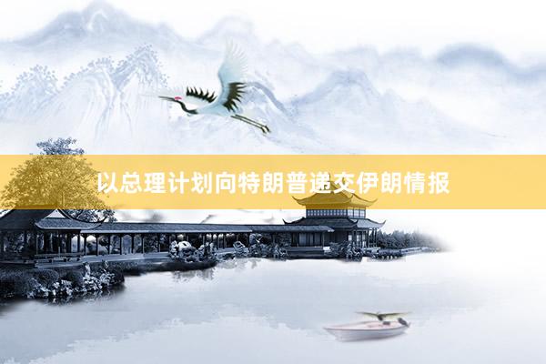 以总理计划向特朗普递交伊朗情报