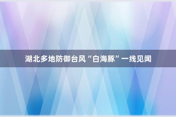 湖北多地防御台风“白海豚”一线见闻
