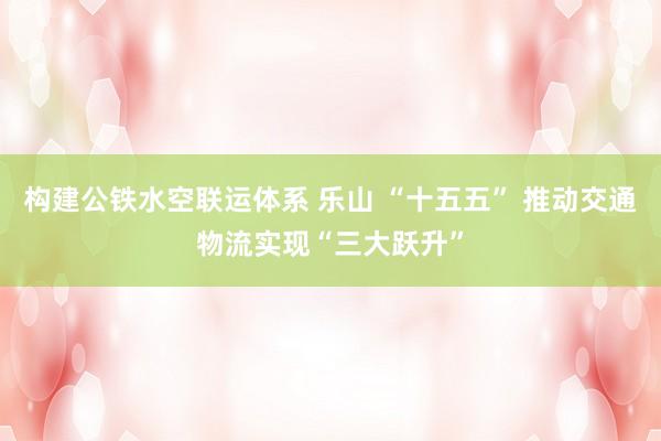 构建公铁水空联运体系 乐山 “十五五” 推动交通物流实现“三大跃升”