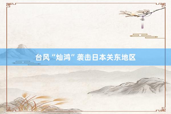 台风“灿鸿”袭击日本关东地区