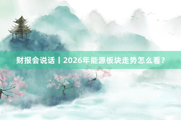 财报会说话丨2026年能源板块走势怎么看？