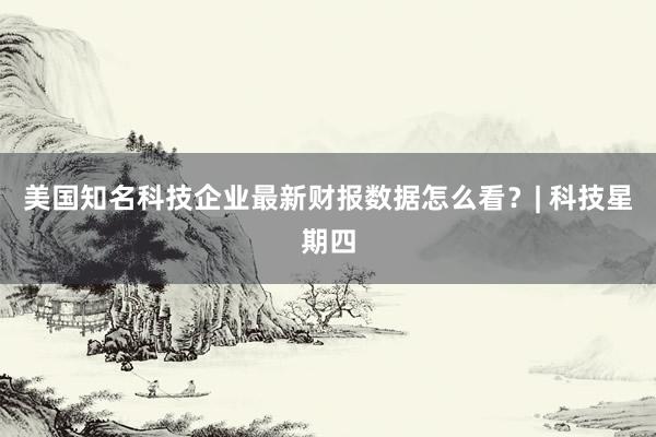 美国知名科技企业最新财报数据怎么看？| 科技星期四