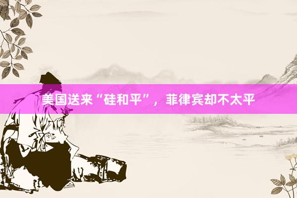 美国送来“硅和平”，菲律宾却不太平