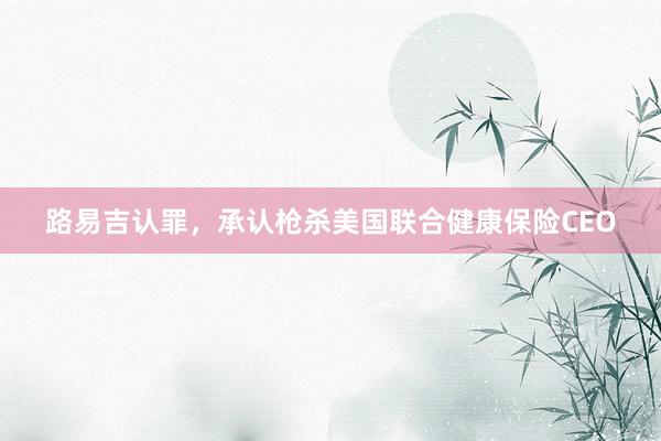 路易吉认罪，承认枪杀美国联合健康保险CEO