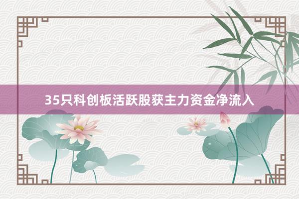 35只科创板活跃股获主力资金净流入