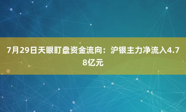 7月29日天眼盯盘资金流向：沪银主力净流入4.78亿元