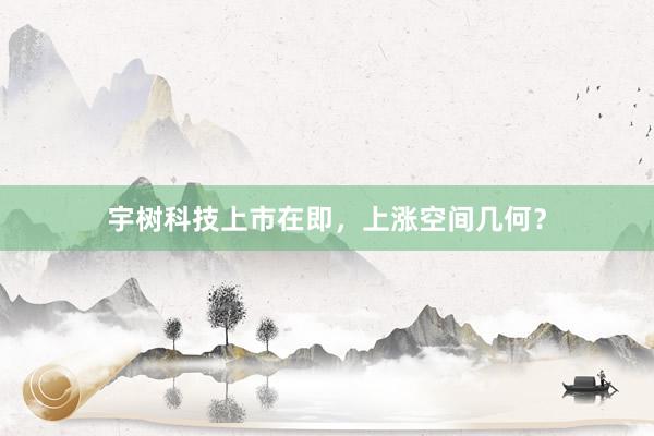 宇树科技上市在即，上涨空间几何？
