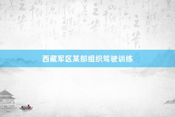 西藏军区某部组织驾驶训练