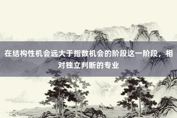 在结构性机会远大于指数机会的阶段这一阶段，相对独立判断的专业
