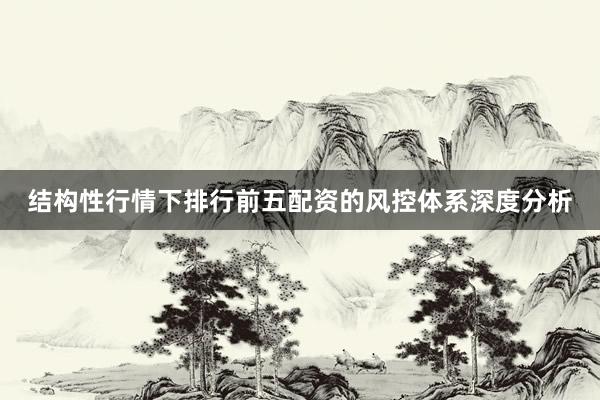 结构性行情下排行前五配资的风控体系深度分析