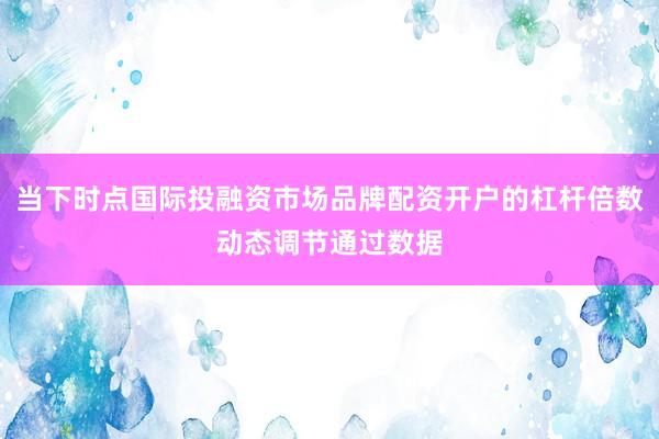 当下时点国际投融资市场品牌配资开户的杠杆倍数动态调节通过数据