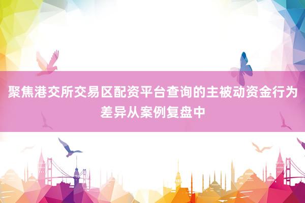 聚焦港交所交易区配资平台查询的主被动资金行为差异从案例复盘中