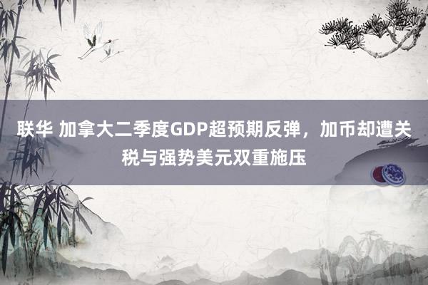 联华 加拿大二季度GDP超预期反弹，加币却遭关税与强势美元双重施压