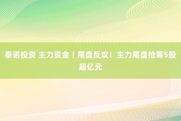 泰诺投资 主力资金丨尾盘反攻！主力尾盘抢筹5股超亿元