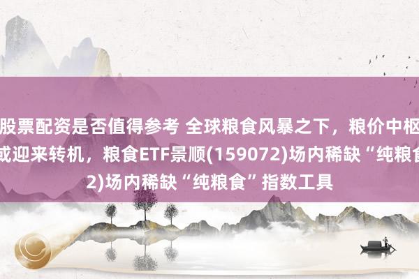 股票配资是否值得参考 全球粮食风暴之下，粮价中枢抬升！行业或迎来转机，粮食ETF景顺(159072)场内稀缺“纯粮食”指数工具