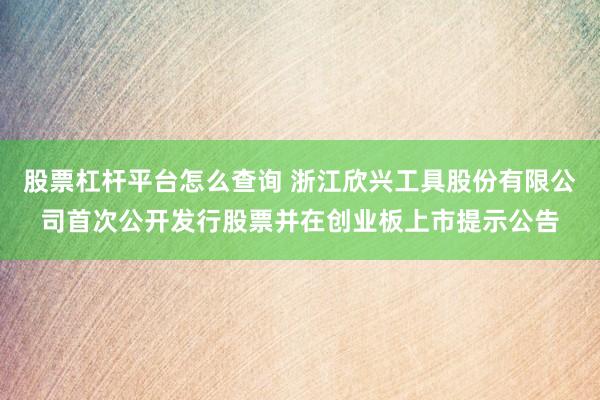 股票杠杆平台怎么查询 浙江欣兴工具股份有限公司首次公开发行股票并在创业板上市提示公告