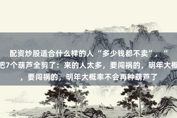 配资炒股适合什么样的人 “多少钱都不卖”，“葫芦娃爷爷”连夜把7个葫芦全剪了：来的人太多，要闯祸的，明年大概率不会再种葫芦了